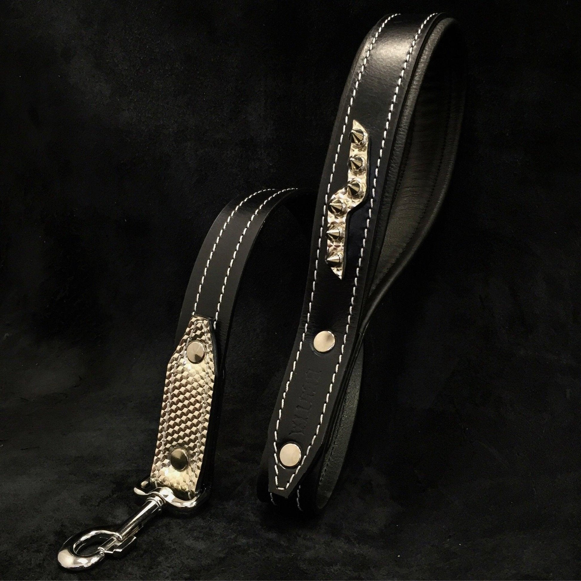 The ''Platinum'' collar-1